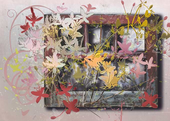 Window Frame and Flowers
