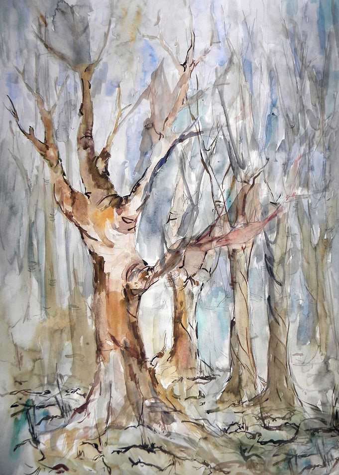 Wood