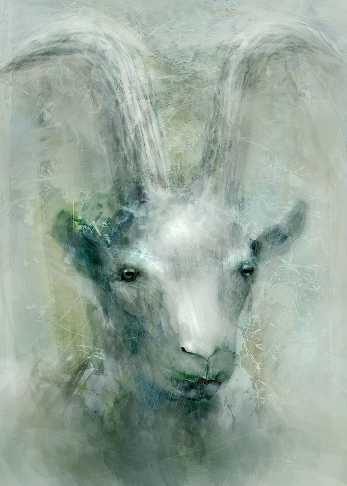 Capricorn