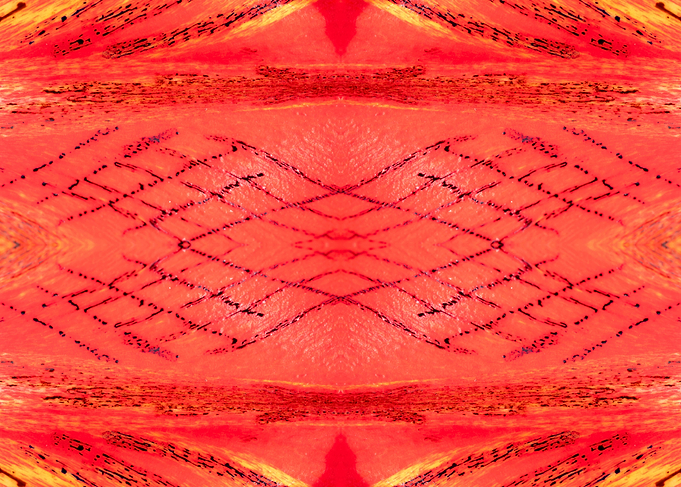 Patterns from Nature