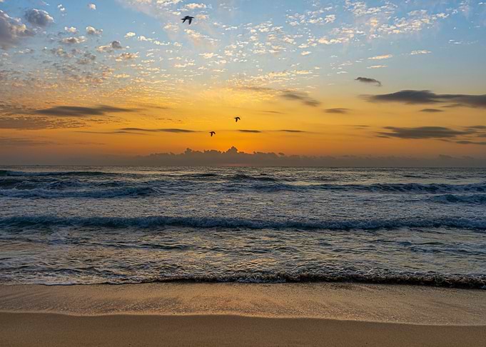 Golden Sunrise