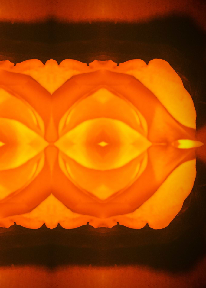 FluorescentRose2