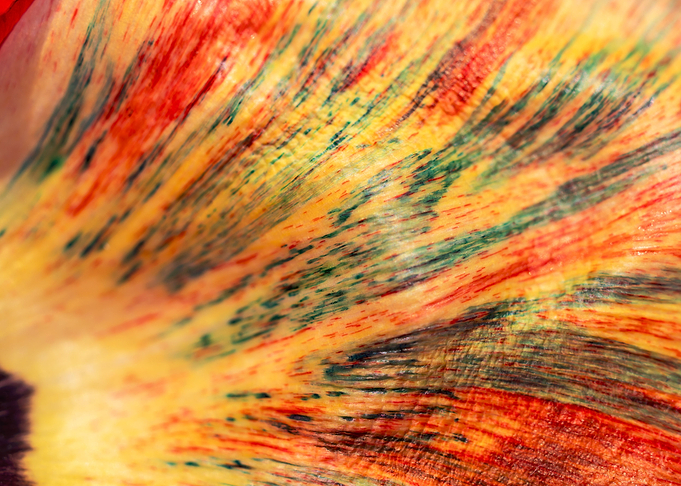 Natural abstracts