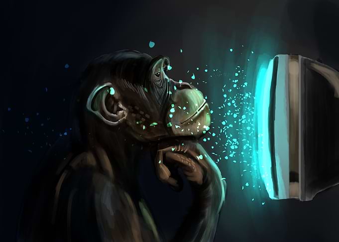 MonkeyPunk