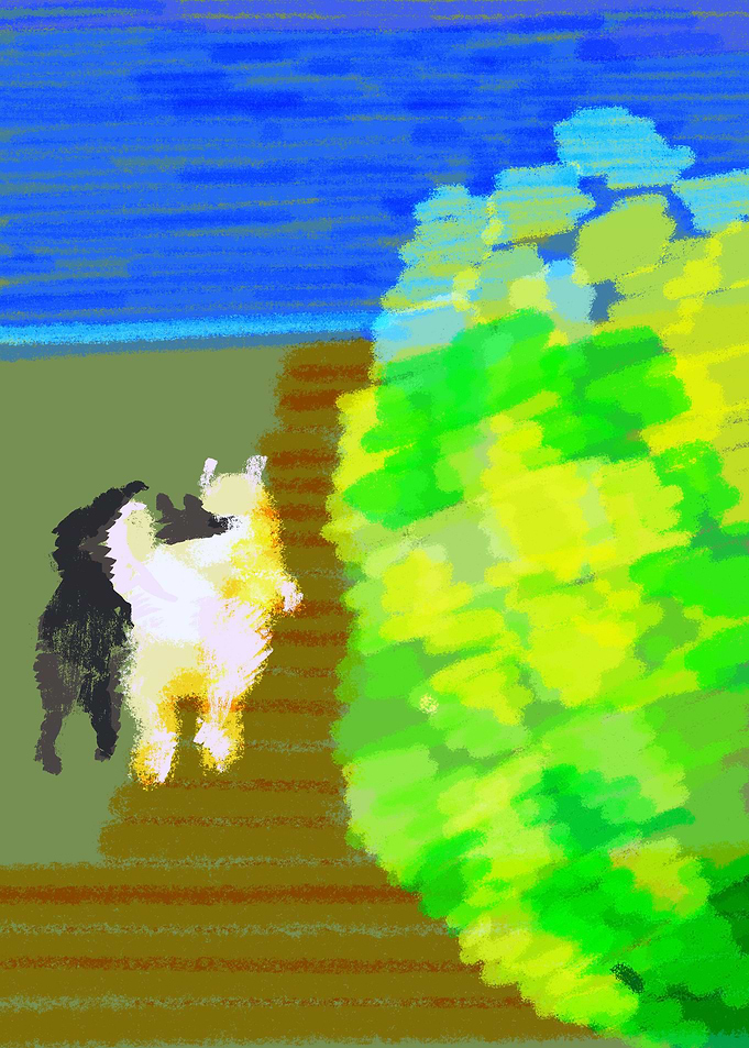 Dogs happy walk