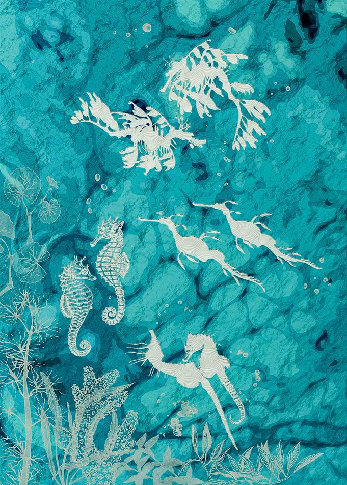Seahorse Mating