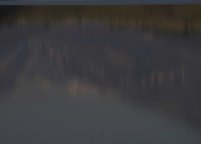 reflection