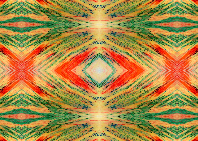 Patterns from Nature