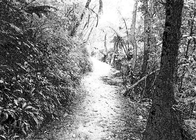 Hiking Trail Sketch 2