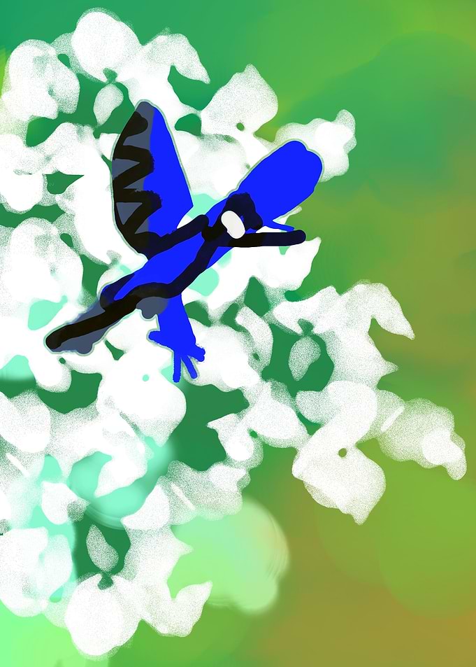 Blue bird