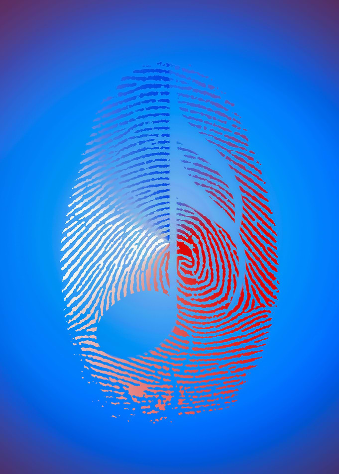 Music Fingerprint