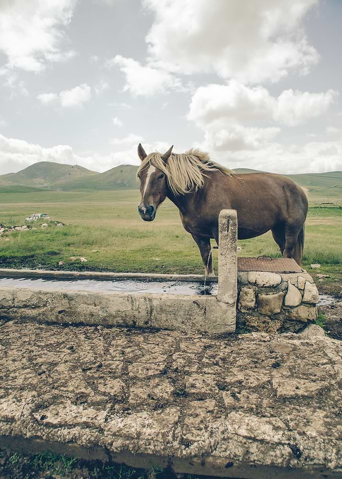 A windy day