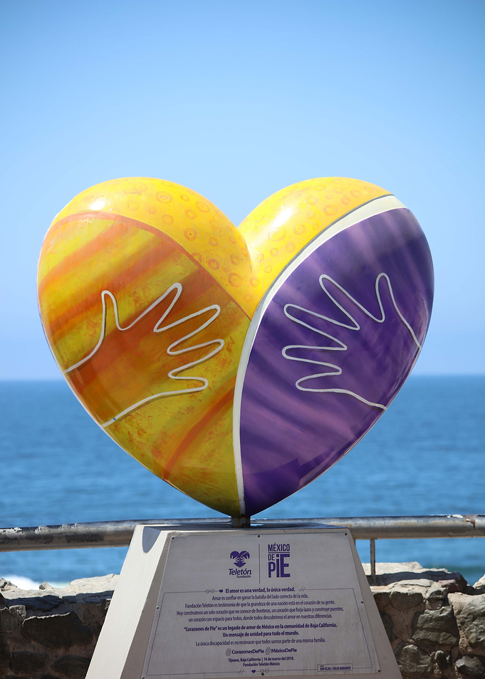 Heart