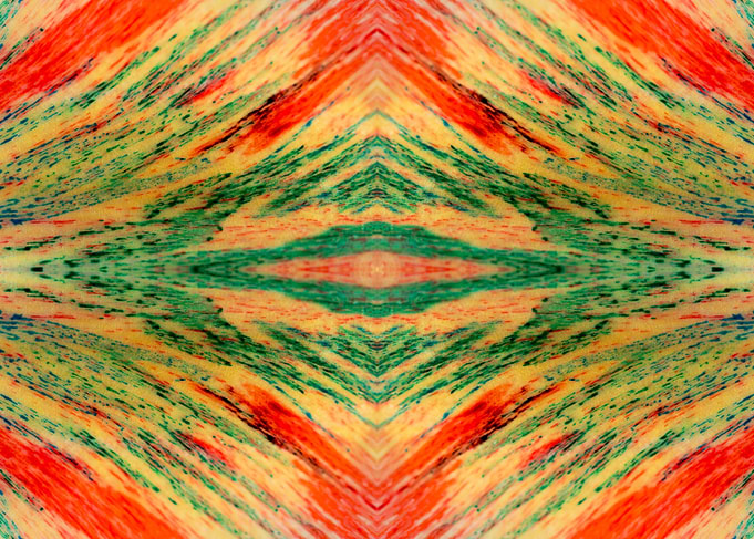 Patterns from Nature