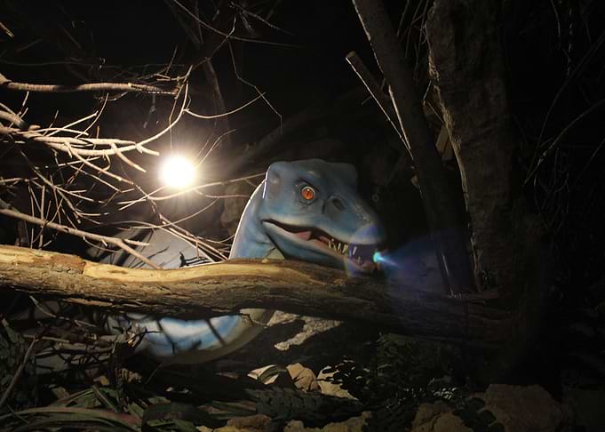 In the dark