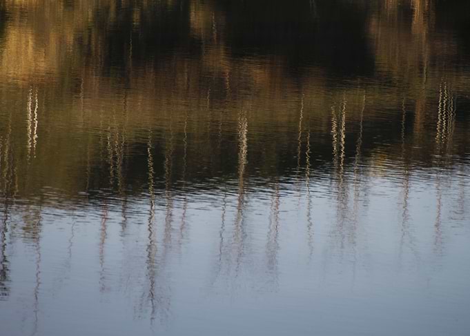 reflection