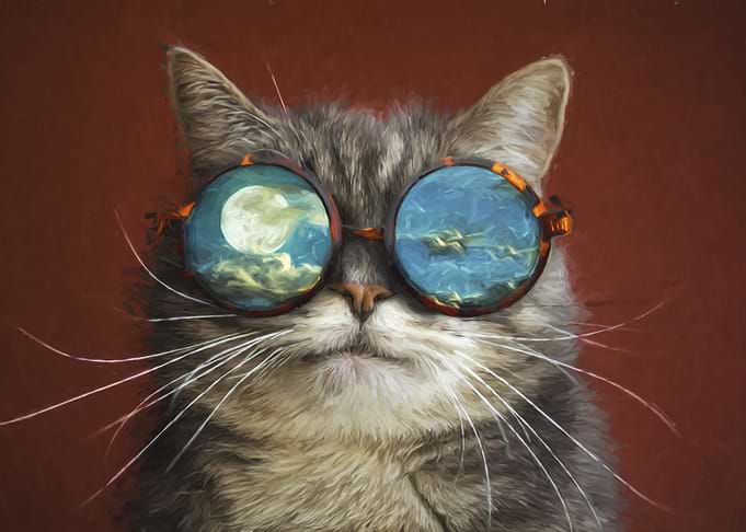 Funny Cat