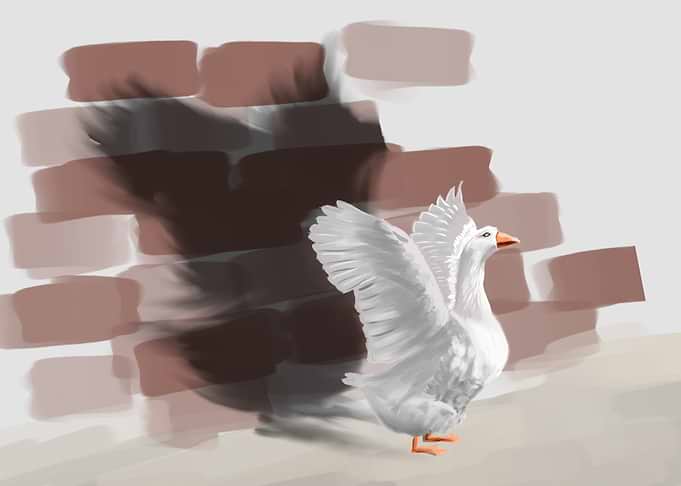 Goose Guard