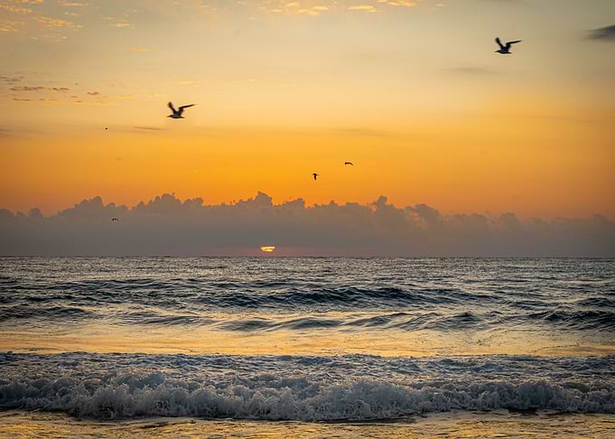 Golden sunrise