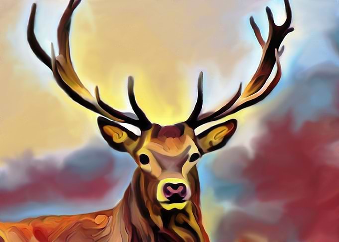 Deer