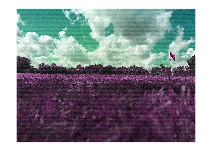 Vaporwave field day