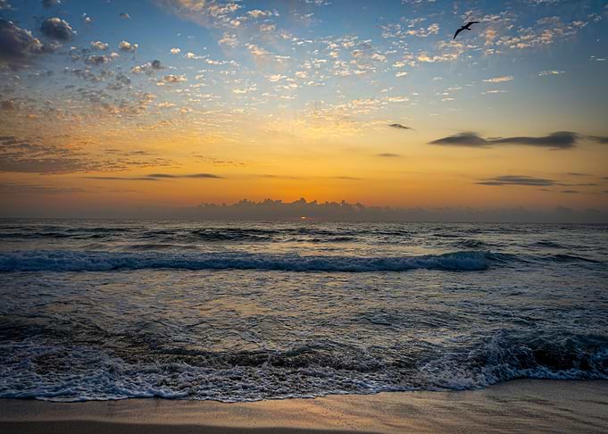 Golden sunrise