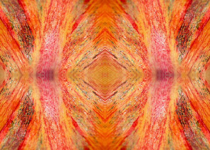 Patterns from Nature