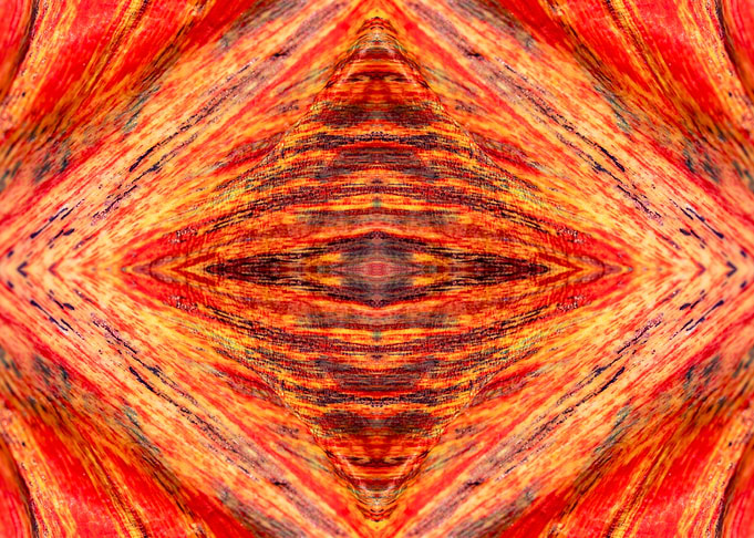 Patterns from Nature