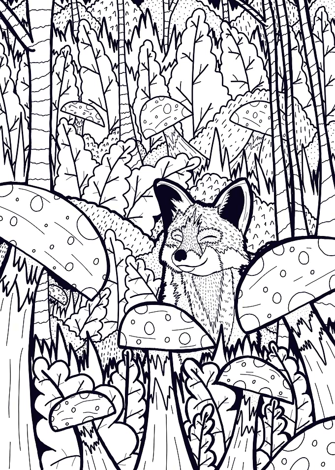 The little fox