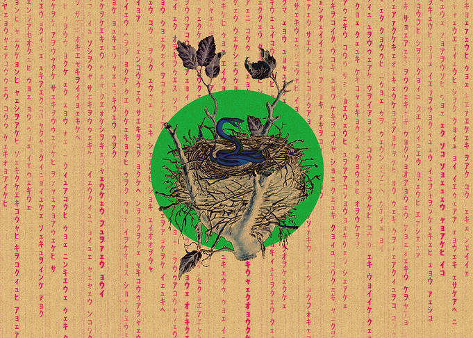Nido de vibora