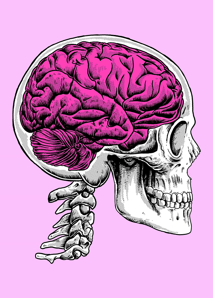human