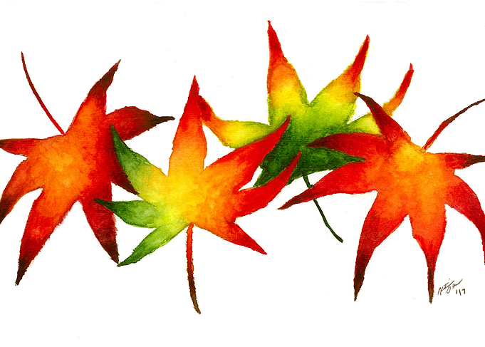 Maple Leaves