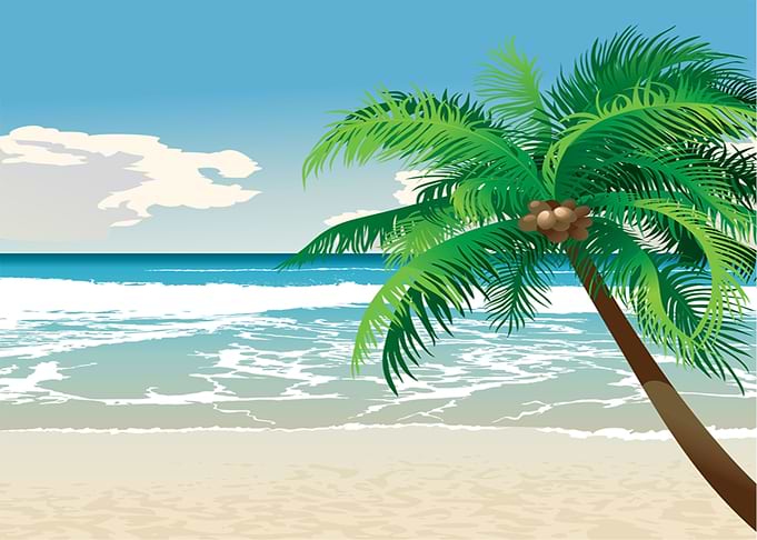 Palm Beach Paradise Tropic