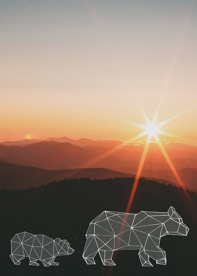 sunset bear walk
