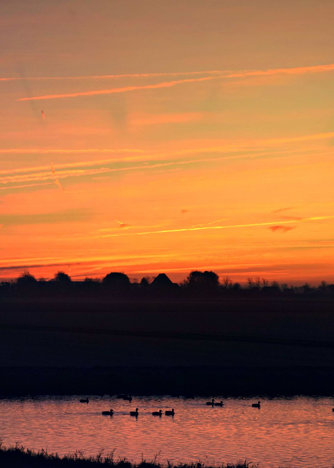 Landscape 15