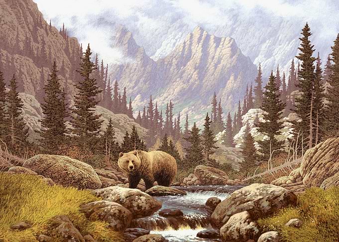 Nature landscape
