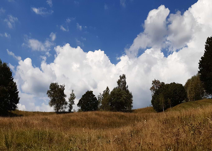 Dramatic Light
