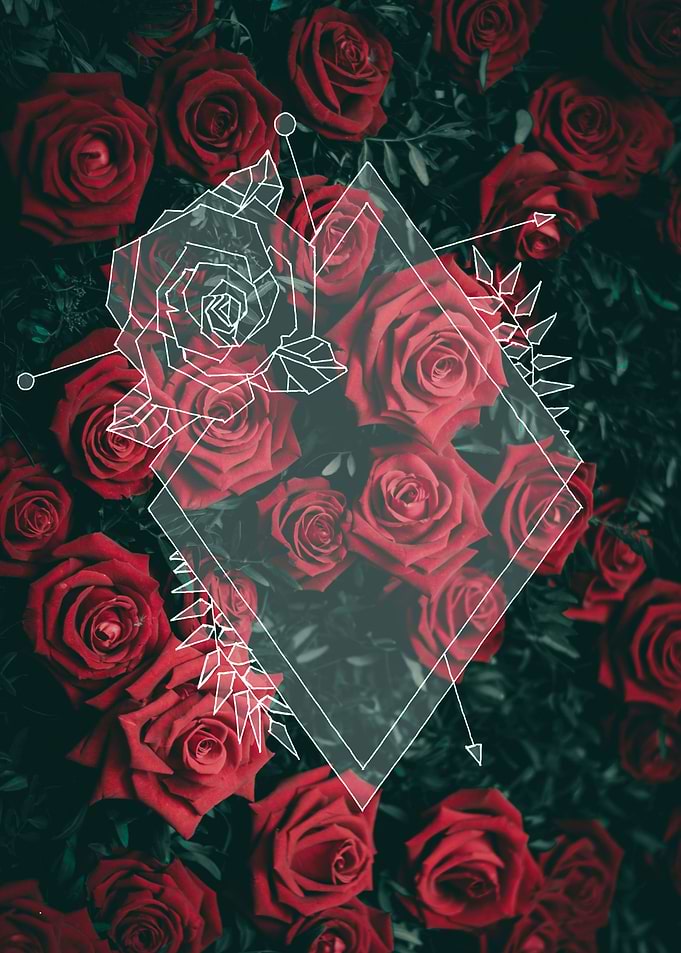 roses