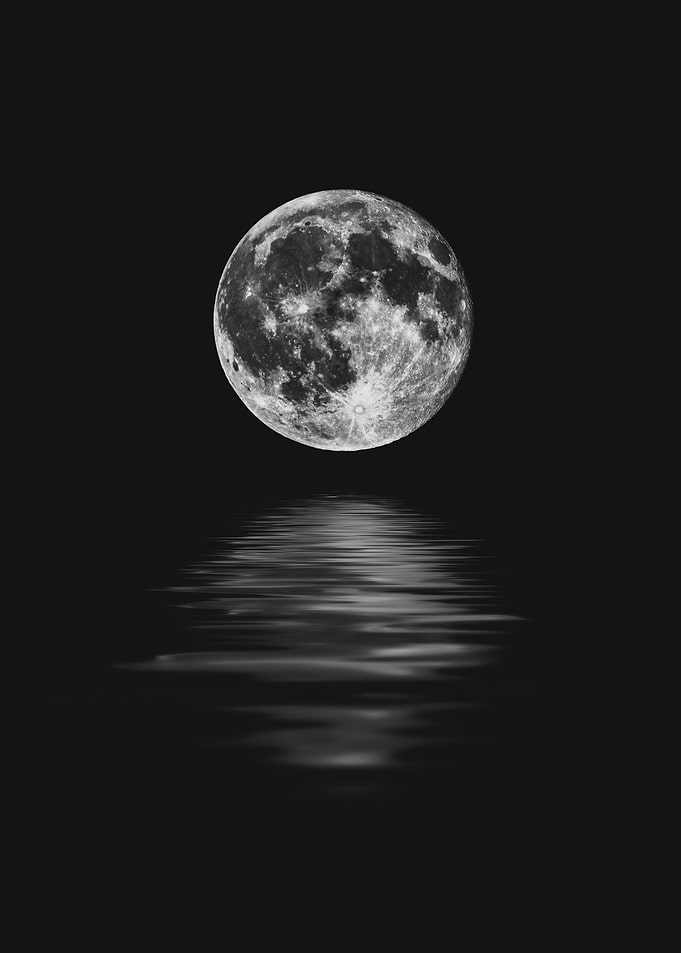 Full Moon Noir