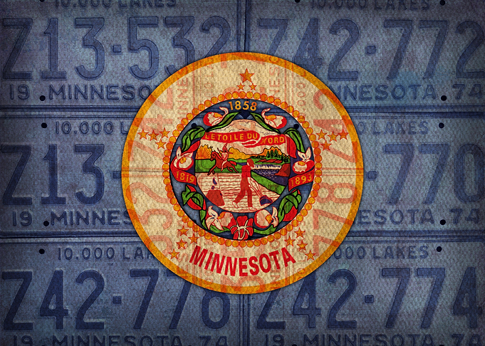 Minnesota State Flag Art