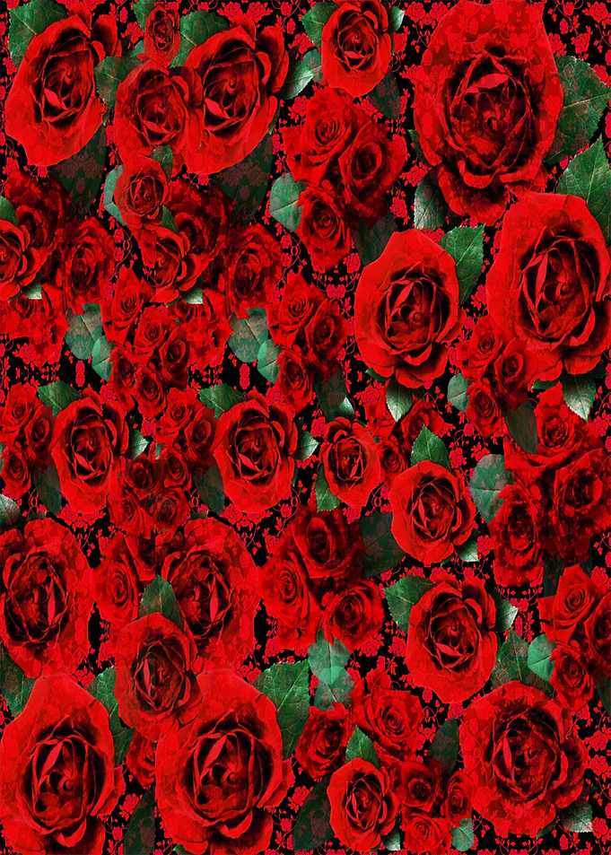 Roses on Roses
