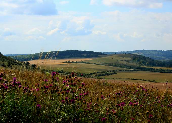 Over the Hills