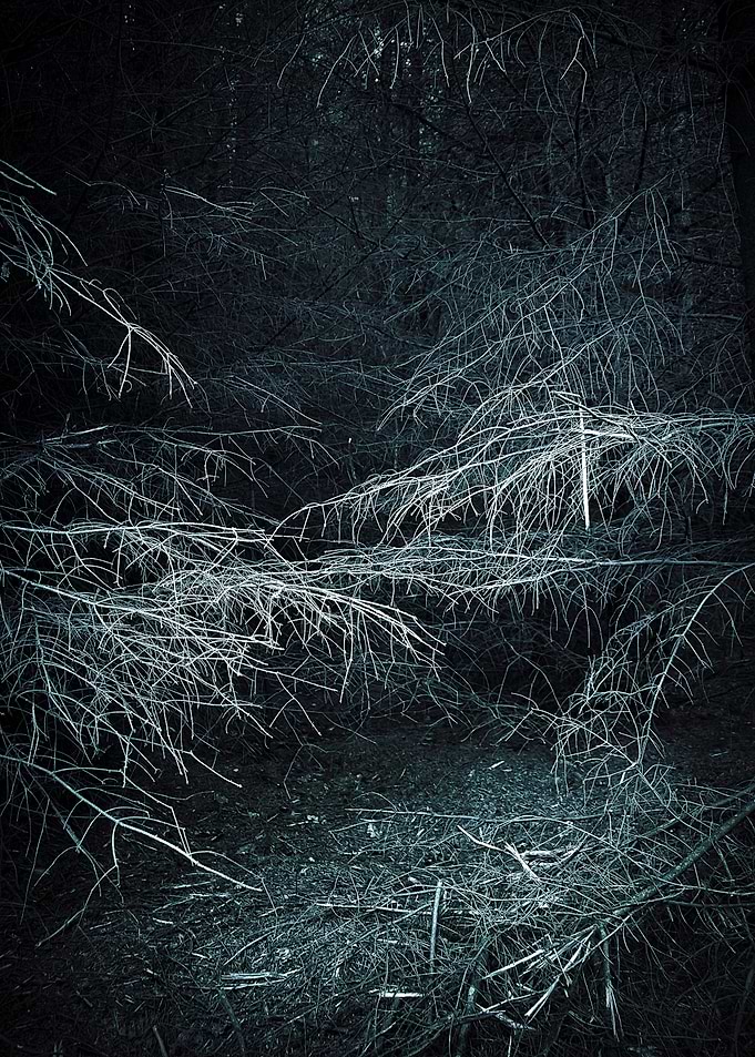 Spooky Woods