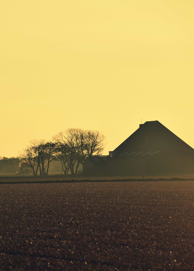 Landscape 14