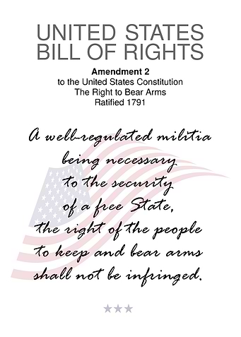 USA Bill Of Rights 2