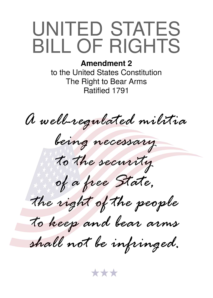 USA Bill Of Rights 2