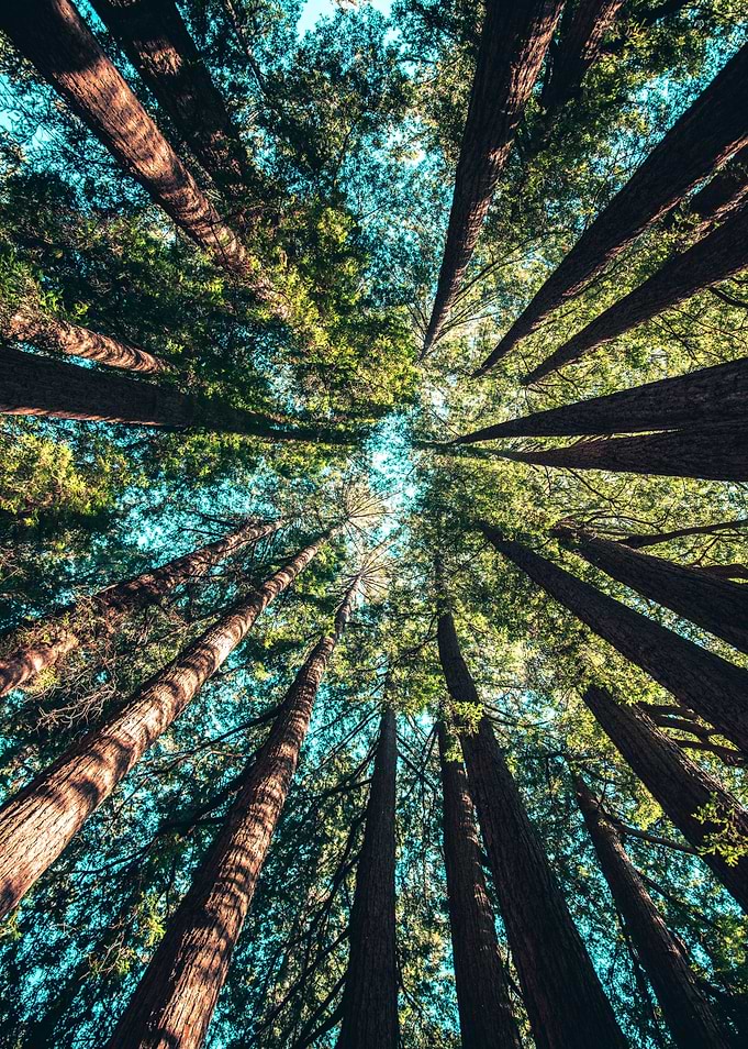 The nature and the myster