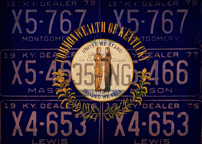 Kentucky State Flag Art