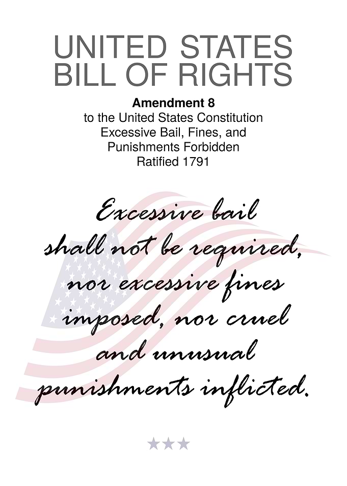 USA Bill Of Rights 8