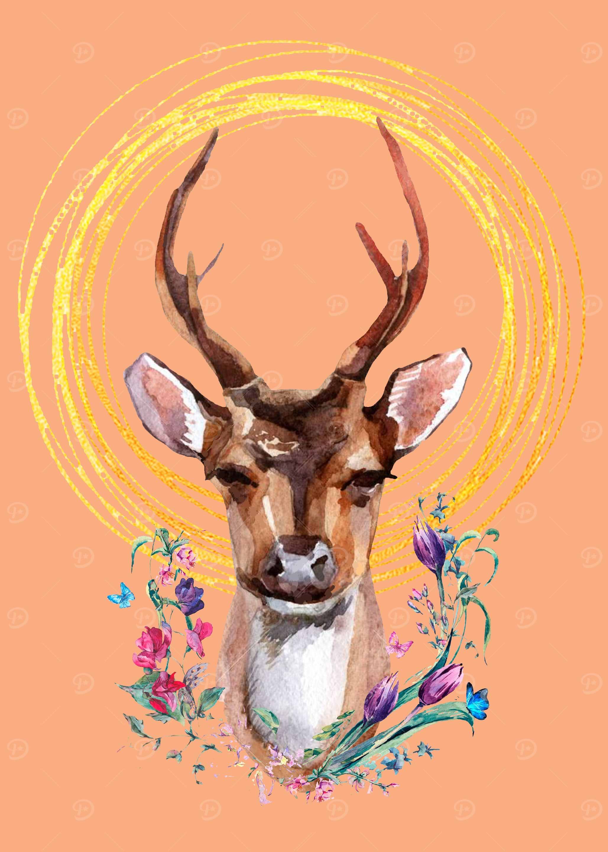 deer